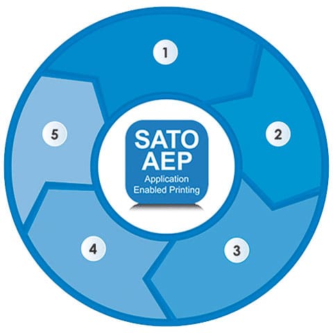 sato aep cycle